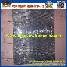 Ss Insect Window Screen for Australia Market